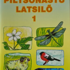 Piltsõnastu latsilõ I